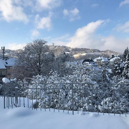 Stadtoase Mit Traumhaftem Ausblick لينتز المظهر الخارجي الصورة